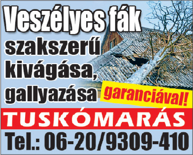 Veszélyes fák